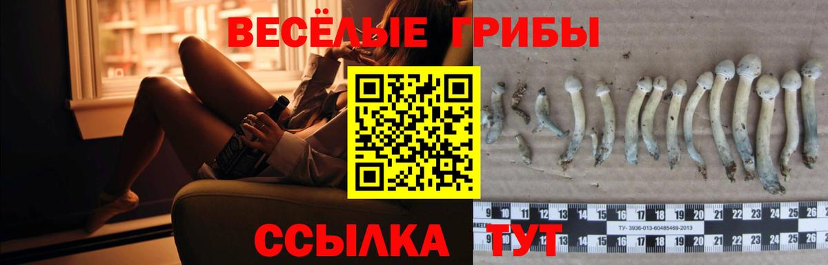 сколько стоит  Псилоцибиновые грибы MAGIC MUSHROOMS  Долгопрудный  Вход с VPN  Псилоцибиновые грибы Cubensis 